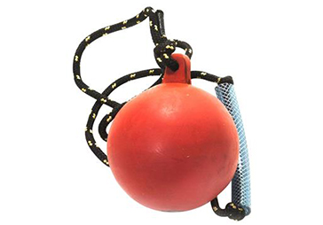 hammer throw